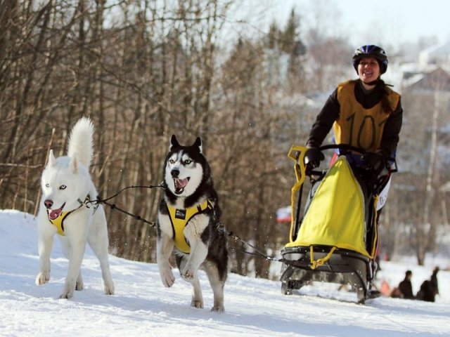 Flocon sprint 02 2012