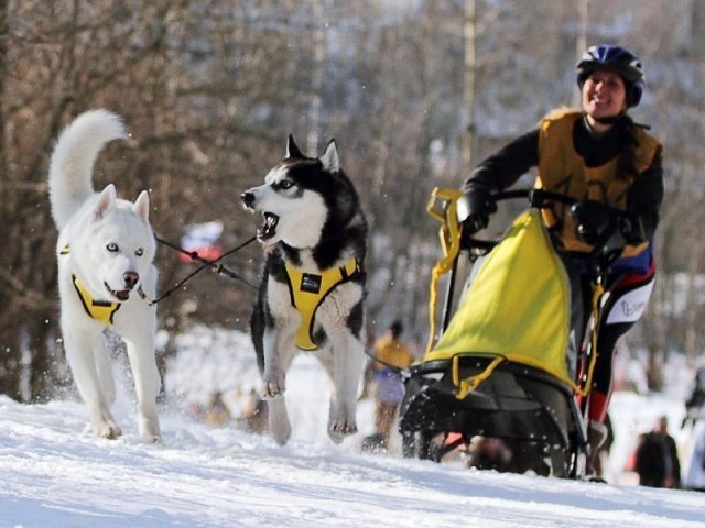 Flocon sprint 02 2012