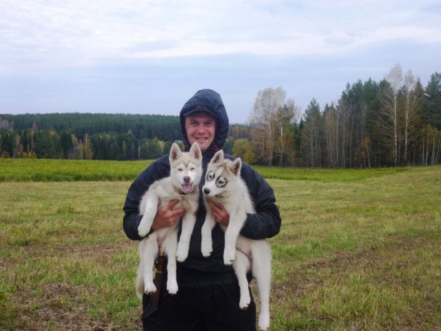 Haurole et Hetoile en Russie