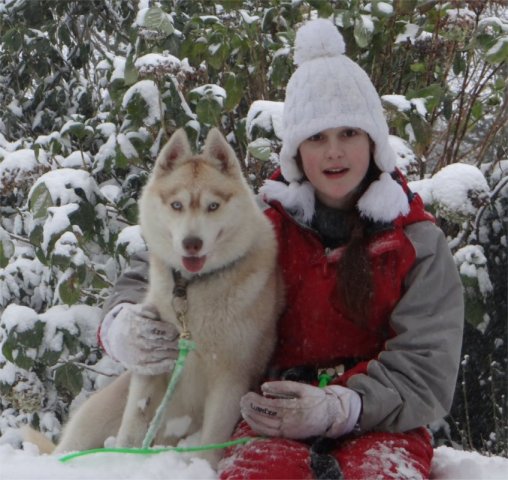 L'élevage sous la neige