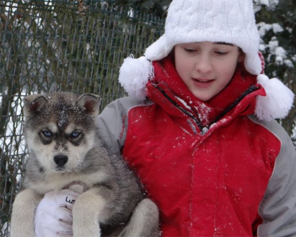 L'élevage sous la neige
