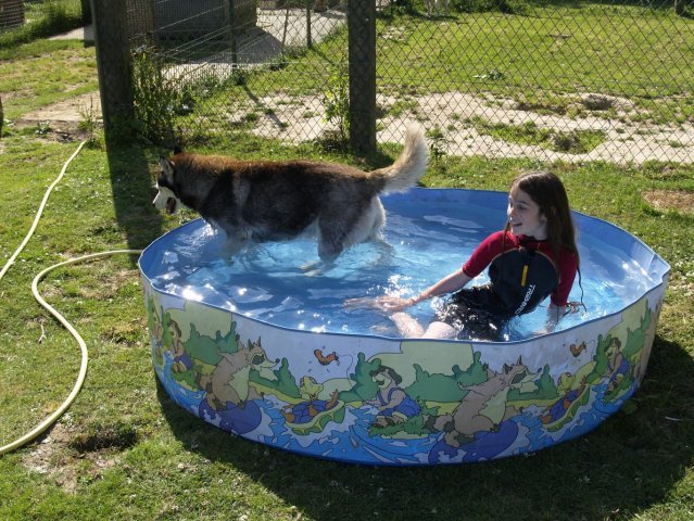 Les Liubov a la piscine