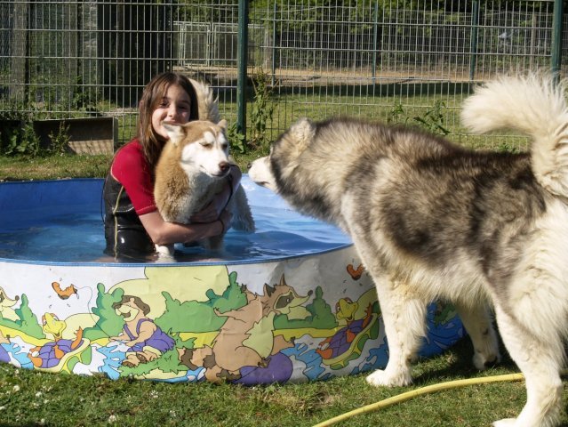 Les Liubov a la piscine