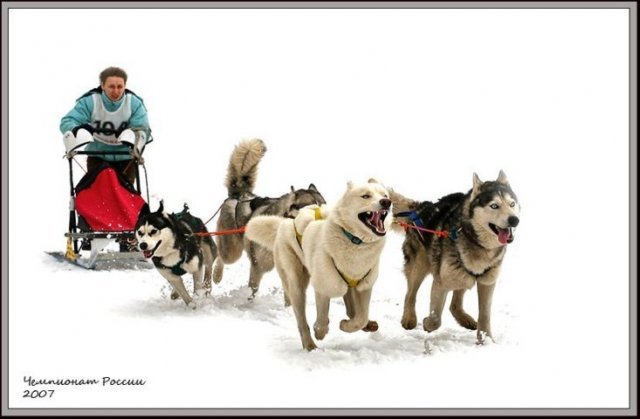 Les Liubov Sous La Neige 2010