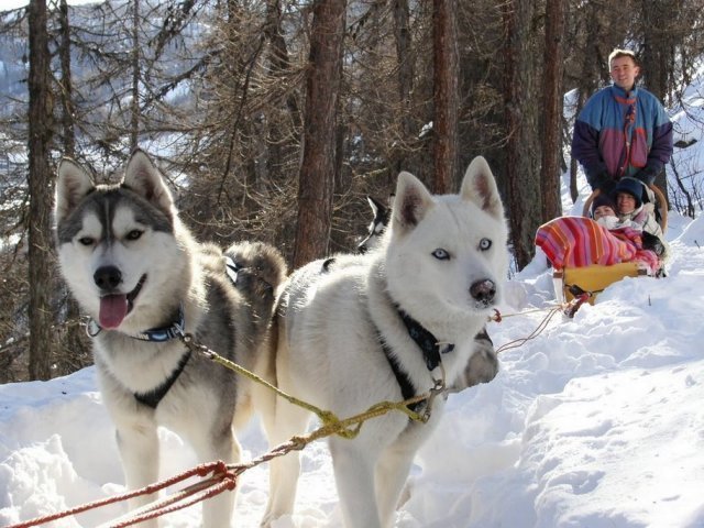 Les Liubov Sous La Neige 2010