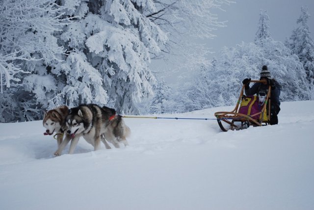Les Liubov sous la neige en 2011