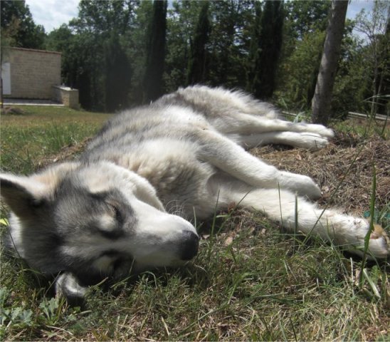 Liubov's Emmy en Vacances