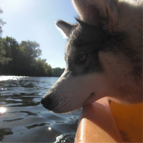 Liubov's Emmy en Vacances