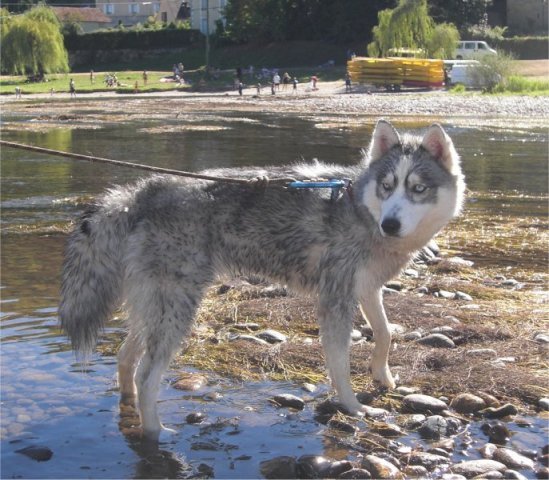 Liubov's Emmy en Vacances