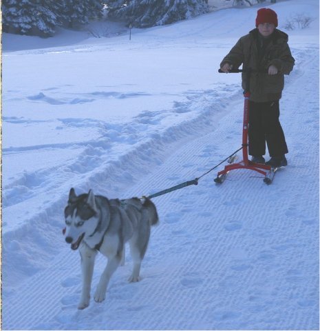 Liubov's Chivas et le KickSpark