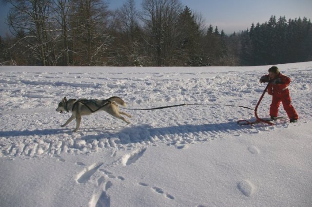 Liubov's Chivas et le KickSpark