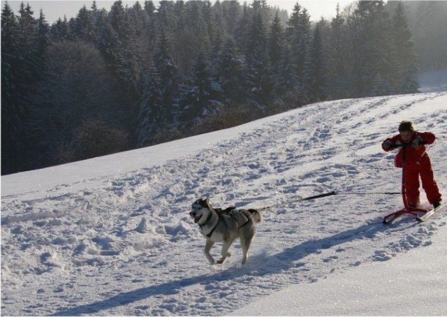 Liubov's Chivas et le KickSpark