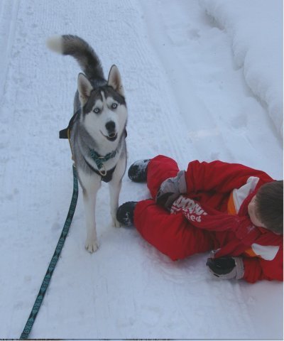 Liubov's Chivas et le KickSpark