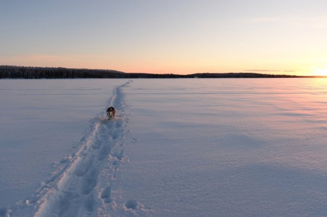 Liubov's D'Amarok en Laponie