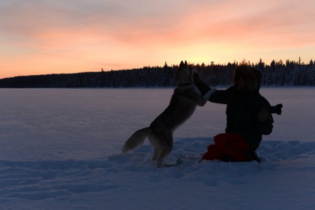 Liubov's D'Amarok en Laponie