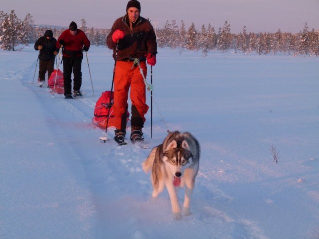 Liubov's D'Amarok en Laponie