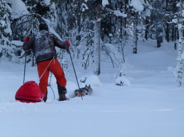 Liubov's D'Amarok en Laponie