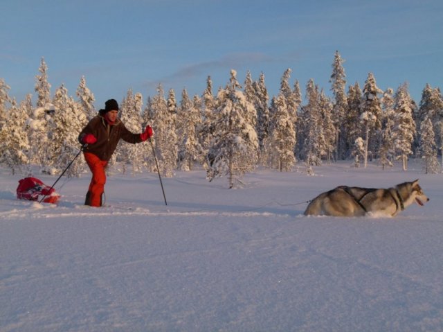 Liubov's D'Amarok en Laponie