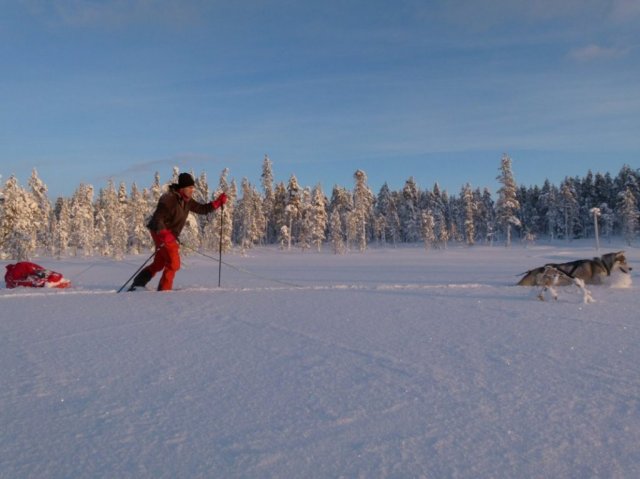 Liubov's D'Amarok en Laponie