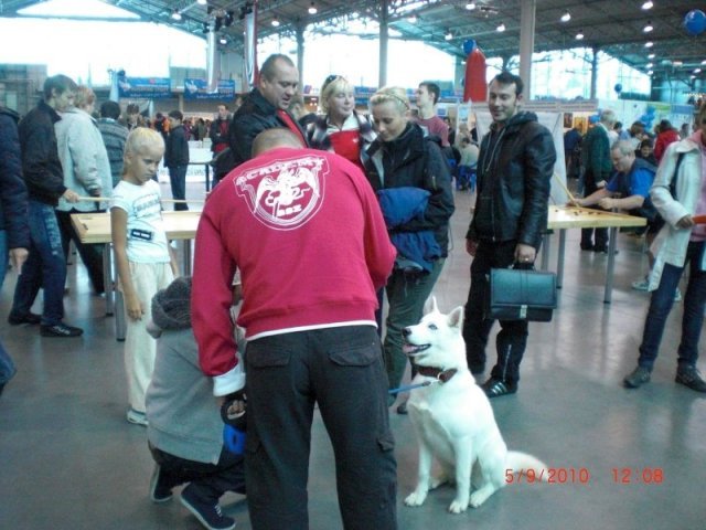 Liubov's Flocon de Neige en Russie