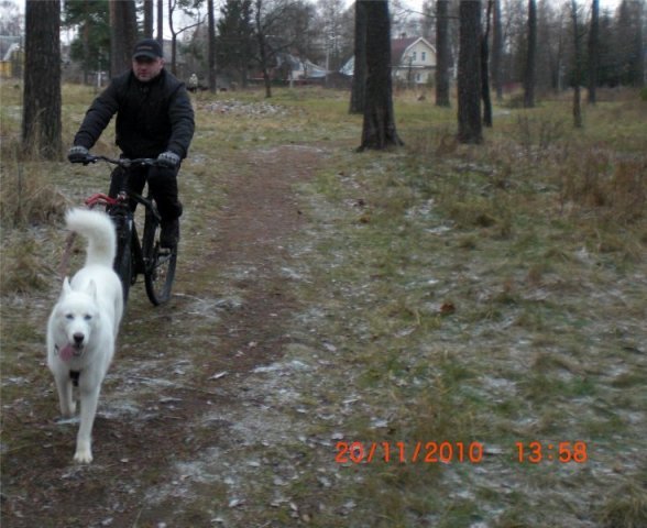 Liubov's Flocon de Neige en Russie