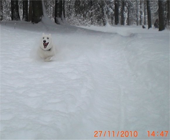 Liubov's Glaçon et Liubov's Galaxie