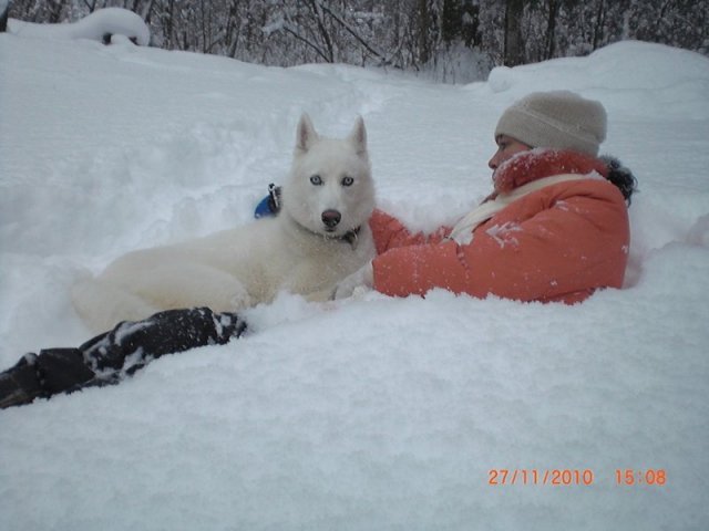 Liubov's Flocon de Neige en Russie