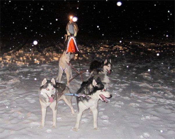 Liubov's Flocon de Neige en Russie