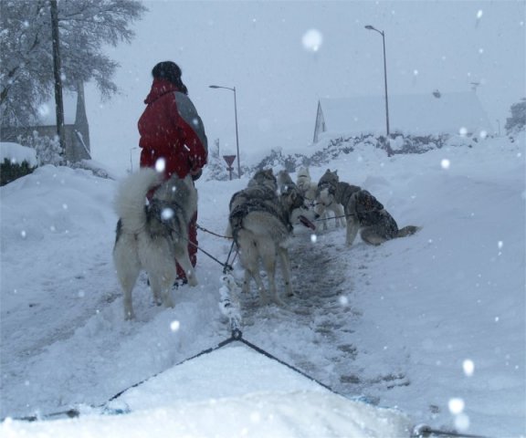 Neige 1-2 décembre 2010