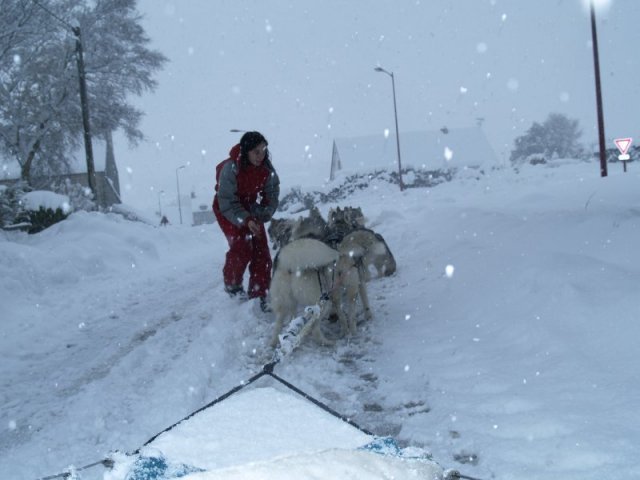 Neige 1-2 décembre 2010