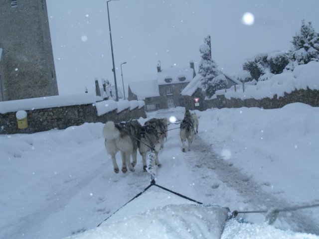 Neige 1-2 décembre 2010