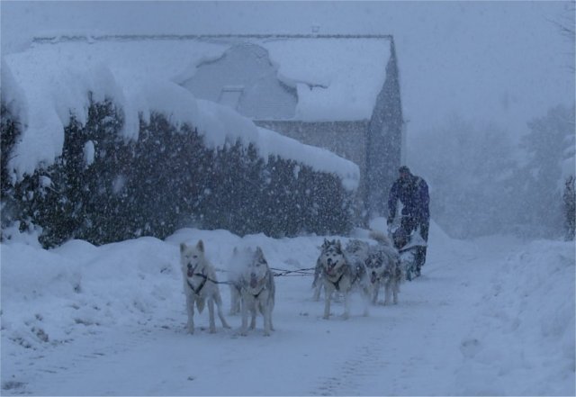 Neige 1-2 décembre 2010