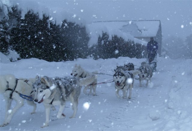Neige 1-2 décembre 2010