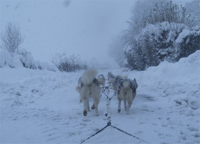 Neige 1-2 décembre 2010