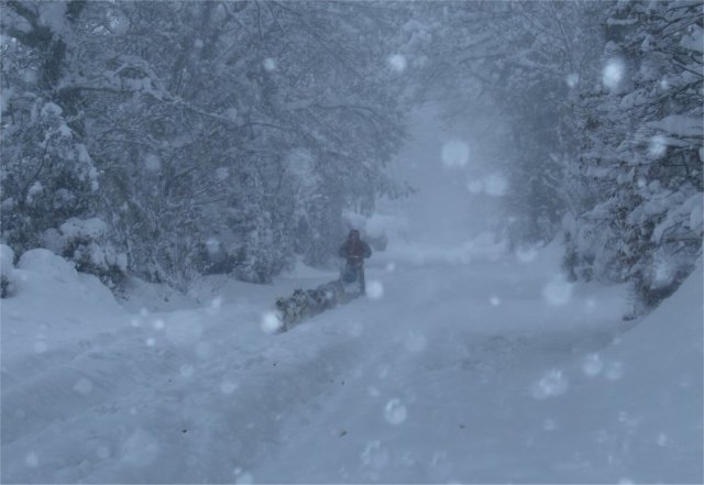 Neige 1-2 décembre 2010