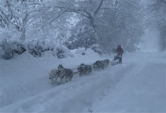 Neige 1-2 décembre 2010