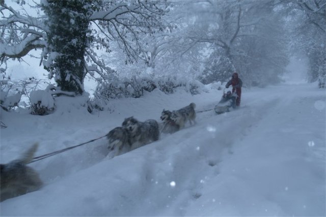 Neige 1-2 décembre 2010
