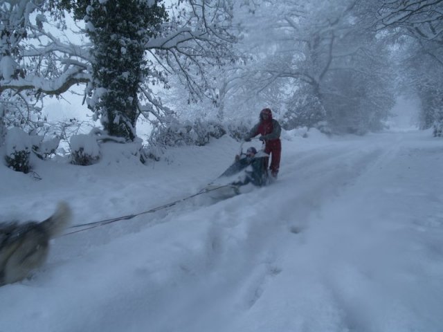 Neige 1-2 décembre 2010