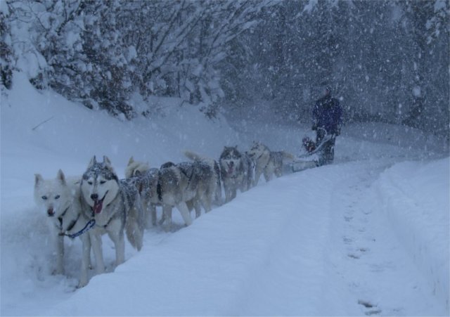 Neige 1-2 décembre 2010
