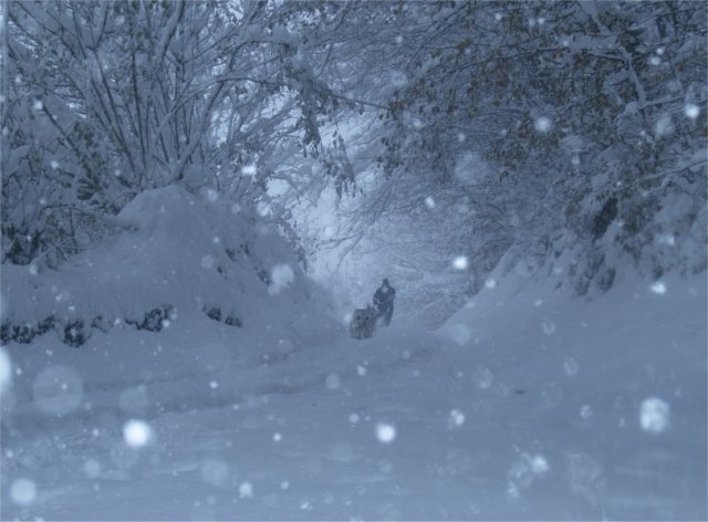 Neige 1-2 décembre 2010