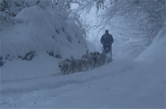 Neige 1-2 décembre 2010