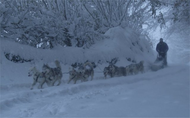 Neige 1-2 décembre 2010