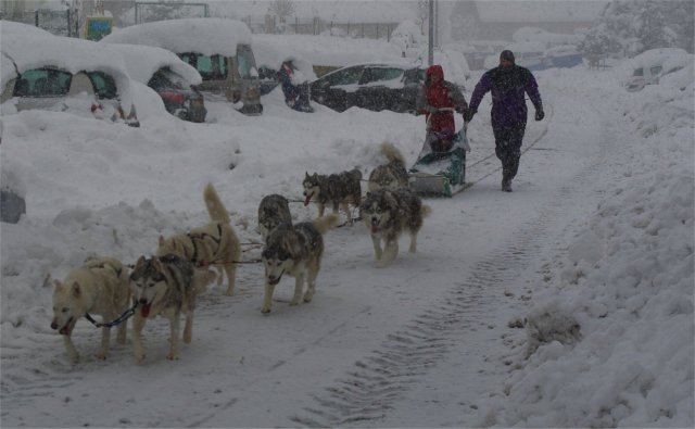Neige 1-2 décembre 2010