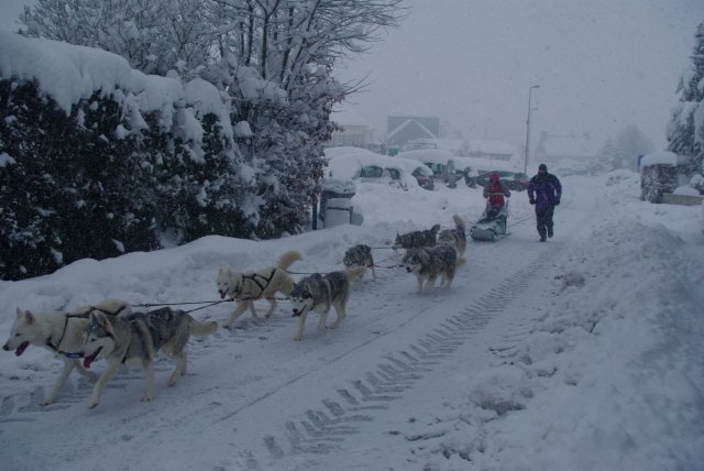 Neige 1-2 décembre 2010