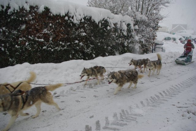 Neige 1-2 décembre 2010