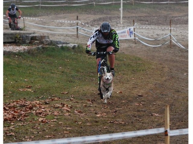 Nouvelle Cécile 2012