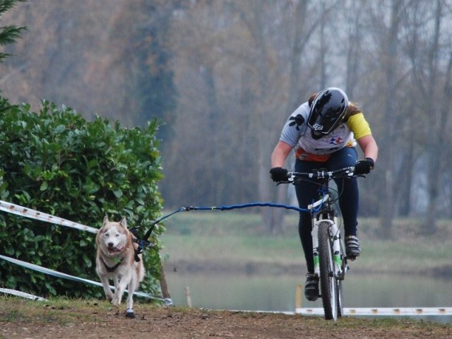 Nouvelle Cécile 2012