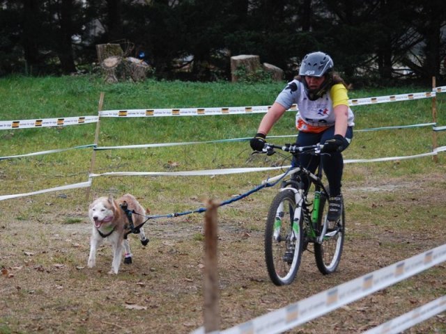 Nouvelle Cécile 2012