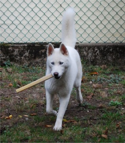 Nouvelle Cécile 2012