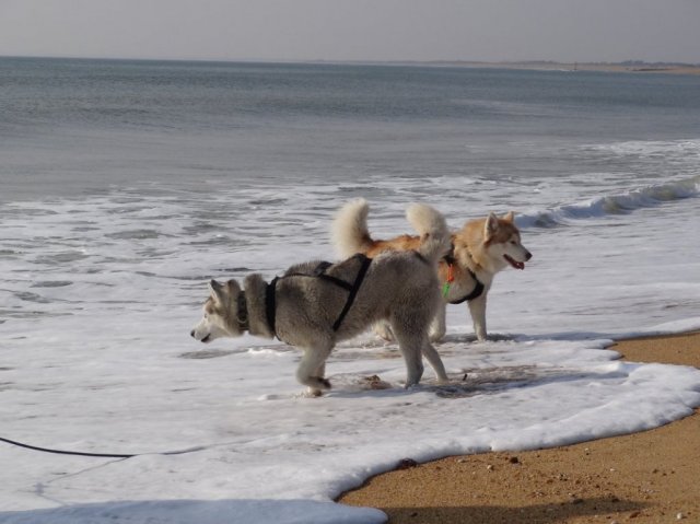 Nouvelles de Largo et Gandalf